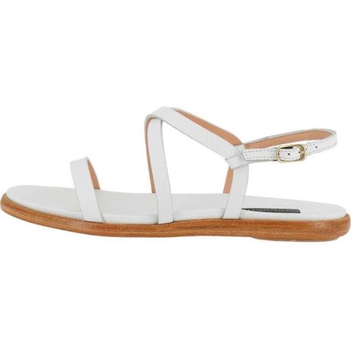 Trendsetwear.shop09517c0d51 1