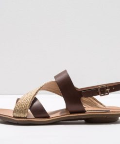 Trendsetwear.shop41e8fb06cd 1
