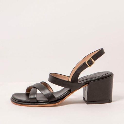 Trendsetwear.shop46430c4314 1