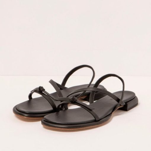 Trendsetwear.shop92026256c8 2