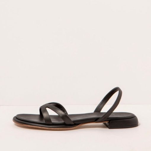 Trendsetwear.shopbcb11bb445 1