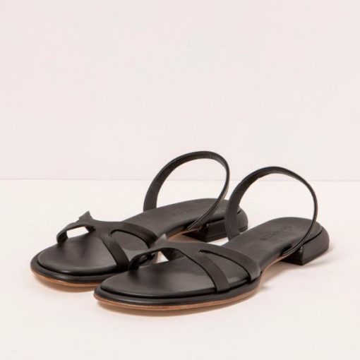 Trendsetwear.shopbcb11bb445 2