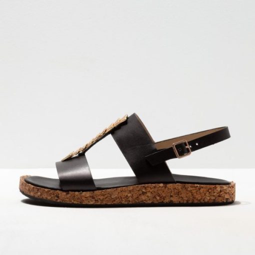 Trendsetwear.shopedede2d716 1
