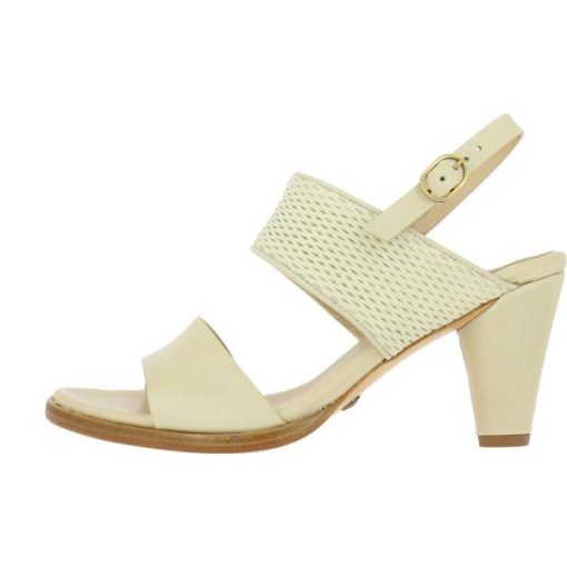 Trendsetwear.shopff9a398e8a 1